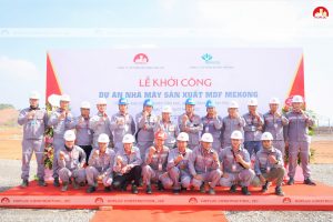 DỰ ÁN NHÀ MÁY GỖ MDF MEKONG - PHÚ THỌ